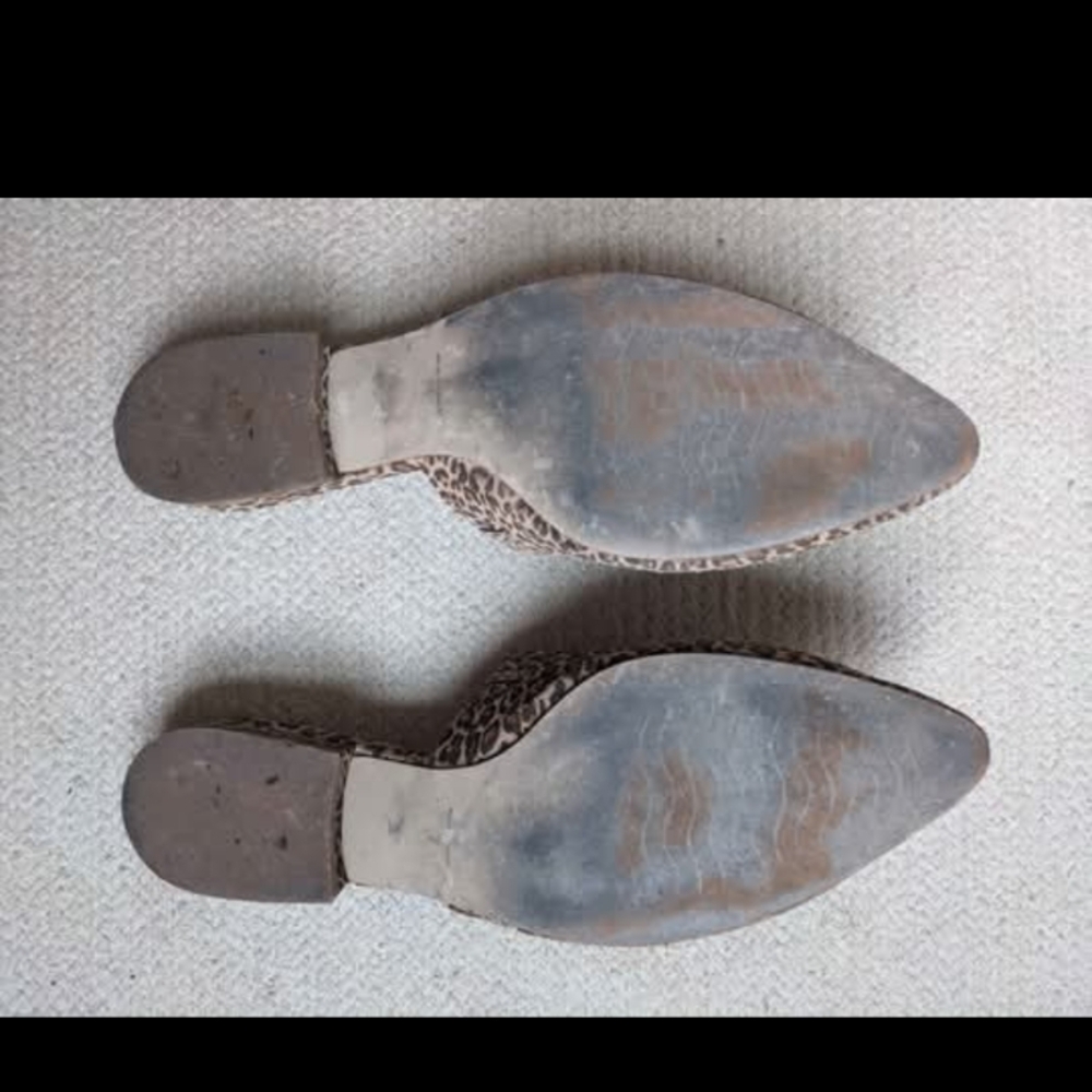 Able Local & Global Marlene Feminine Pointed Mules - Leopard, size 9 - Picture 3 of 3